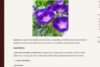 blog-zorele - Ziarul National
