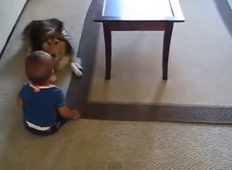 Cine poate avea grija de un copil mai bine ca el? (VIDEO)