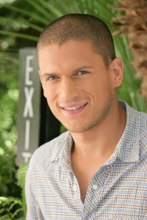 Wentworth Miller, starul din „Prison Break”, a recunoscut ca este GAY!