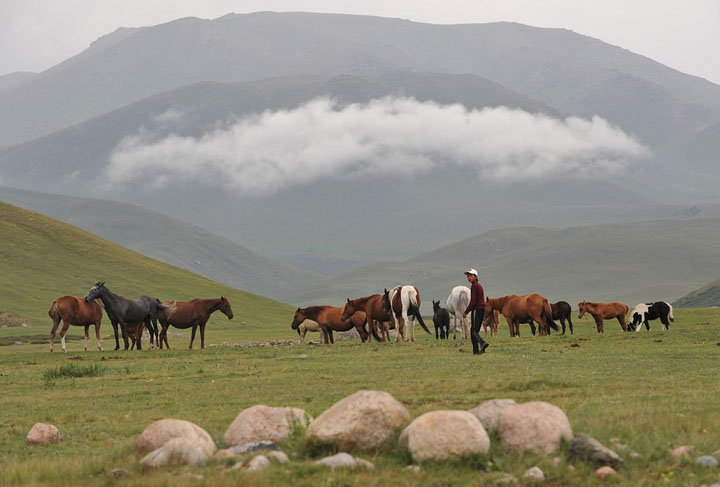 KYRGYZSTAN-HORSES - Ziarul National