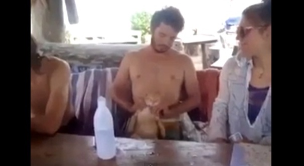 Pisicuta asta este INCANTATOARE! Cum a reusit sa starneasca invidia tuturor internautilor! (VIDEO)