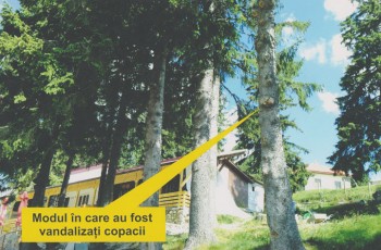poza1 - Ziarul National