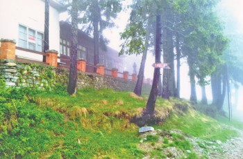 poza - Ziarul National