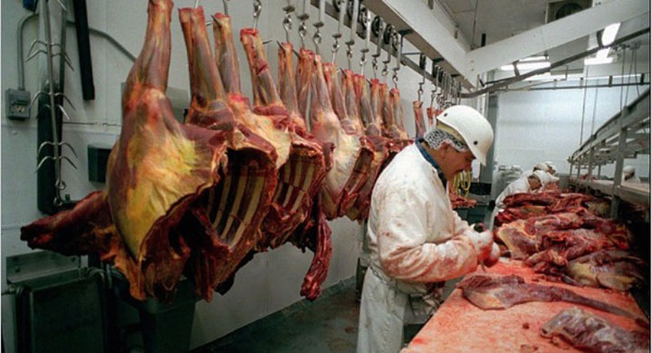 Nou scandal al carnii de cal in Europa