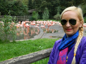 adela si flamingo - Ziarul National