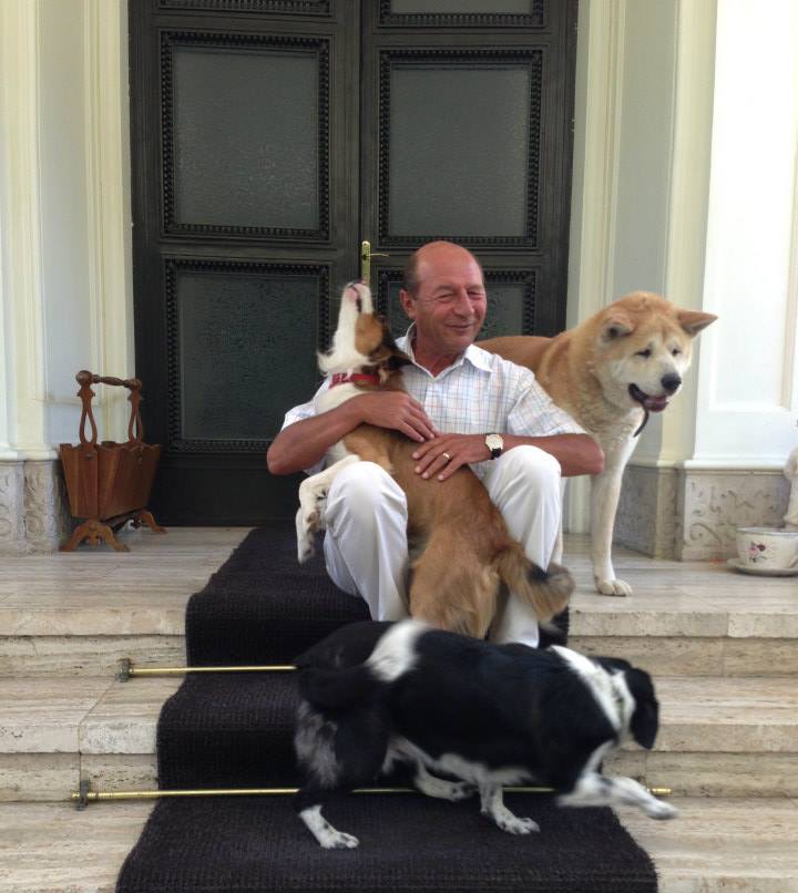 Basescu cere EUTANASIEREA cainilor fara stapan: “Nu sunt mai presus de oameni”