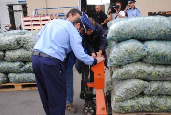 control-legume-foto-tmpress.ro - Ziarul National
