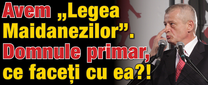 Avem legea maidanezilor! Domnule primar, ce faceti cu ea?