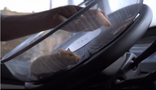 VIDEO incredibil: CAMION de 15 tone, condus de un HAMSTER, pe un drum extrem de periculos!