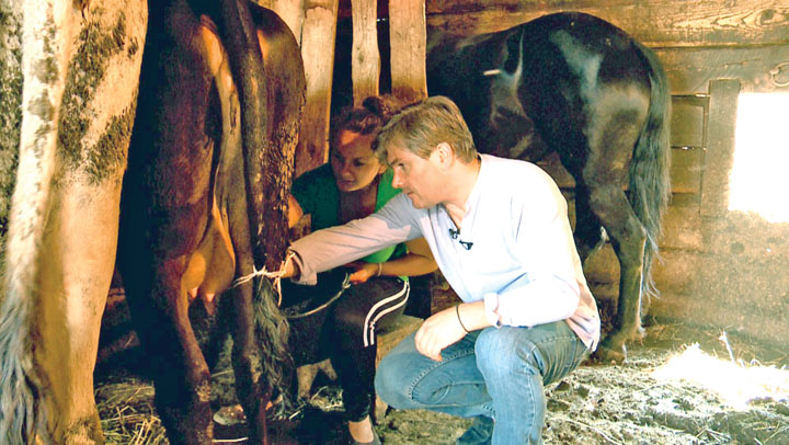 Mircea Radu mulge vaca pe la spate