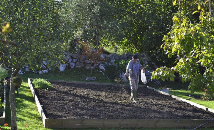 Sfaturi la lucrarile agricole de toamna in gradina