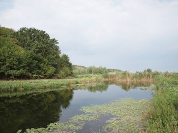 rasov - Ziarul National