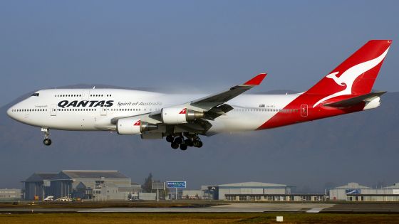 Avion aterizat de urgenta, dupa ce s-a descoperit un sarpe la bord