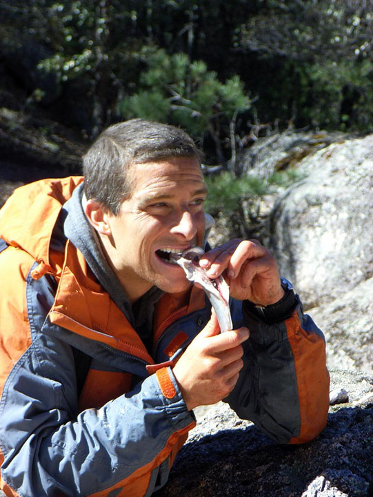 L-a “intoxicat” pe Bear Grylls cu sos de ciocolata si petale de aur
