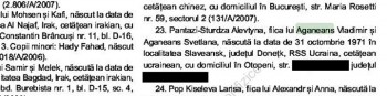alina sturdza minitorul oficial - Ziarul National