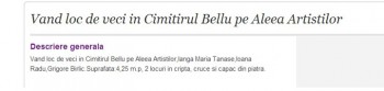 anunt-bellu1 - Ziarul National