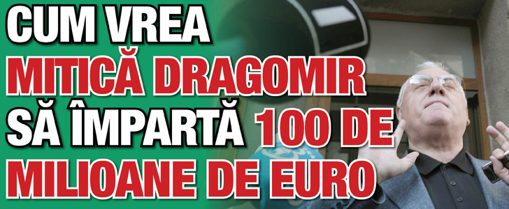 Cum vrea Mitica Dragomir sa imparta 100 de milioane de euro