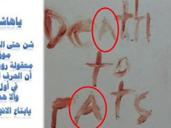 death to rats - Ziarul National