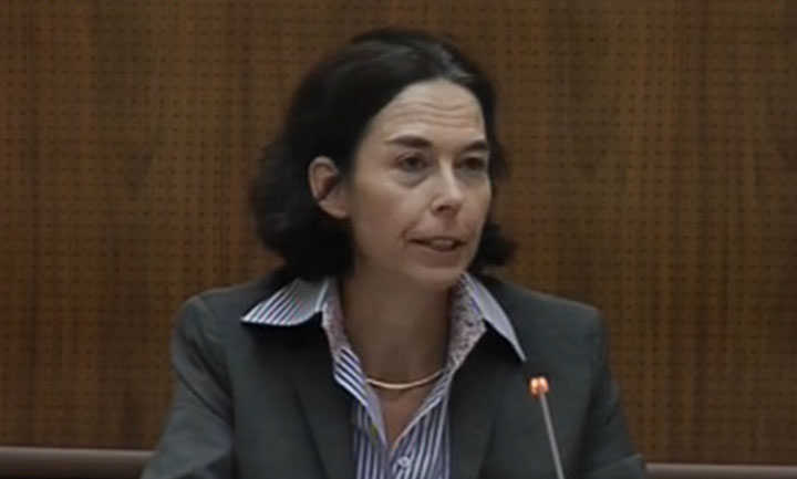Andreea Schaechter FMI 5 nov 2013 - Ziarul National