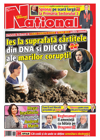 Pag 1 - Ziarul National