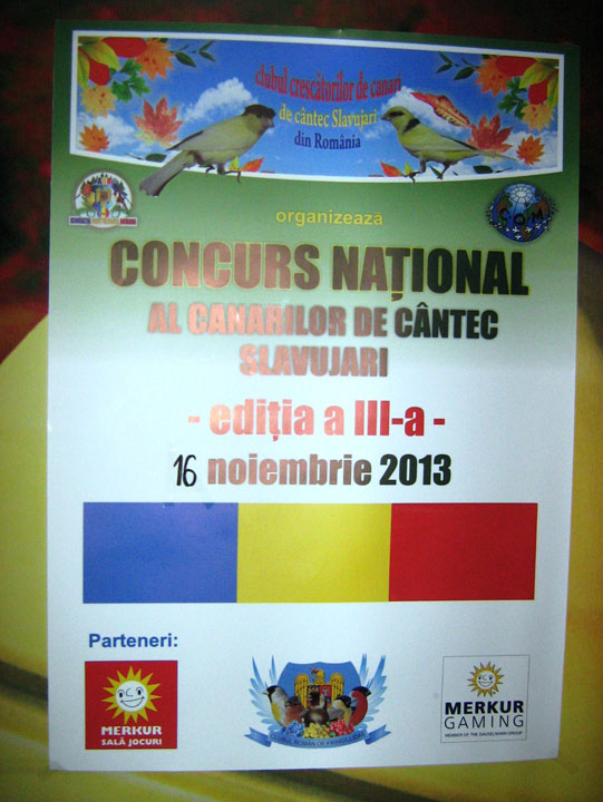 Picturecanari pui 2011 698 - Ziarul National
