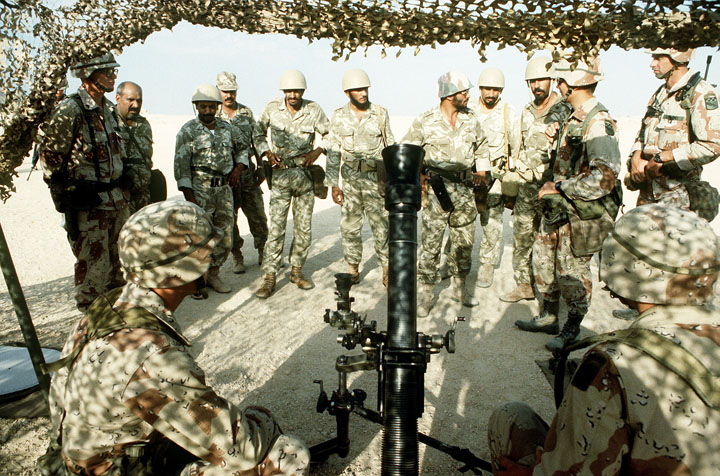 DESERT SHIELD - Ziarul National