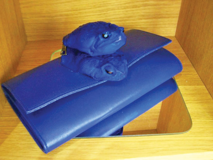 frog-skin-purse-550x413 - Ziarul National