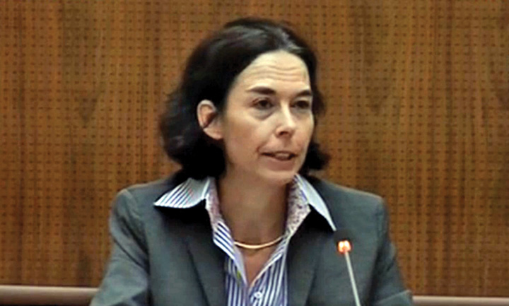 Andreea Schaechter FMI 5 nov 2013 - Ziarul National