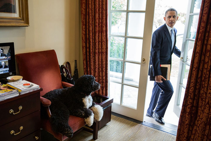 Presedintele Obama, tentat cu un rol in serialul “House of Cards”