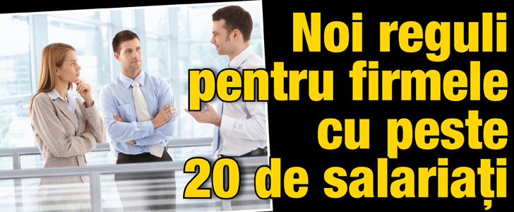 Noi reguli pentru firmele cu peste 20 de salariati