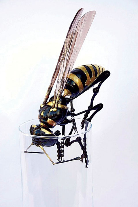 insecte 1 - Ziarul National