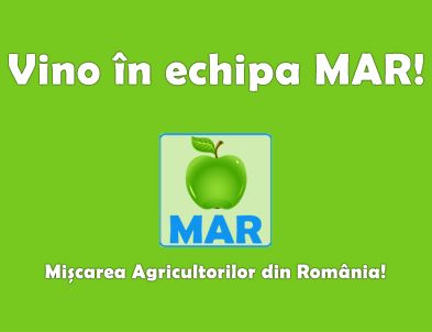 sigla MAR - Ziarul National
