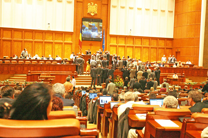 PLEN PARLAMENT-FANE (12) - Ziarul National