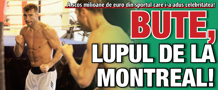A scos din box milioane de euro: Lucian Bute, lupul de la Montreal