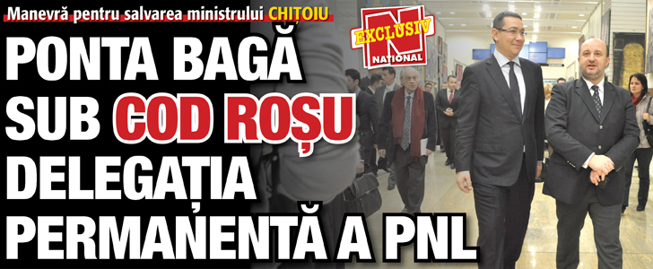 Ponta baga sub cod rosu Delegatia Permanenta a PNL