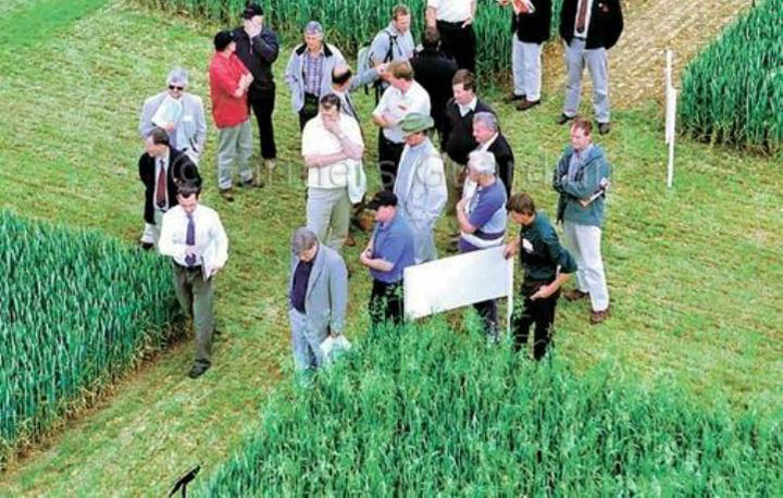 Strainii pot cumpara fara restrictii terenuri agricole in Romania