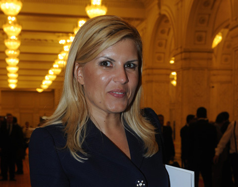 ELENA UDREA-FANE (133) - Ziarul National