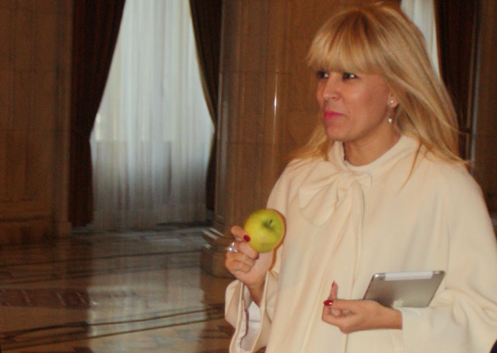 Udrea, despre prezidentiale: Sustinem orice candidat care este in stare sa-l bata pe Ponta. Poate sa nu fie membru PMP