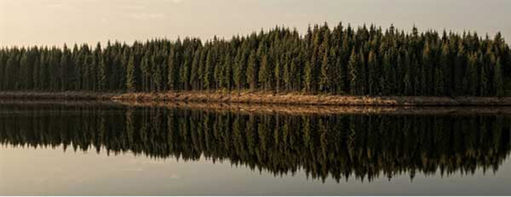 foto Grigore-Roibu - Ziarul National