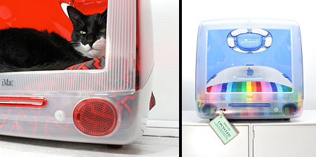 Cea mai tare idee pentru felina ta: Paturile iMac pentru pisici!