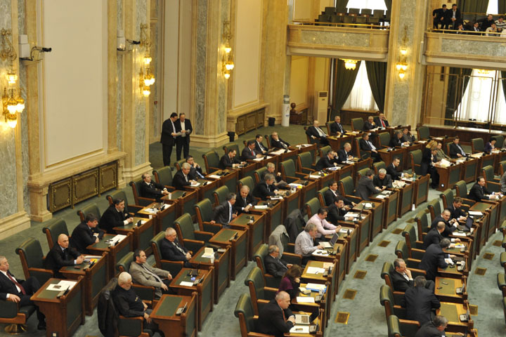 plen Senat - Ziarul National