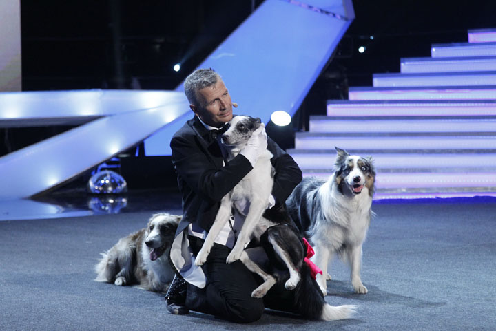 Romanii au… animale talentate