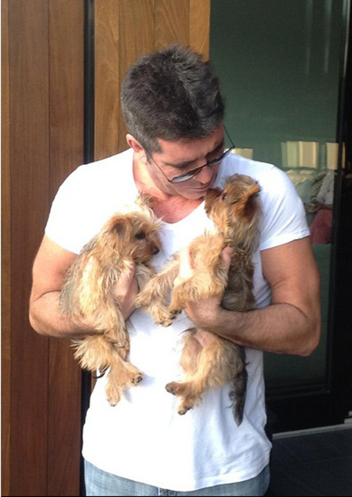 Simon Cowell  a angajat psiholog pentru cei doi catei