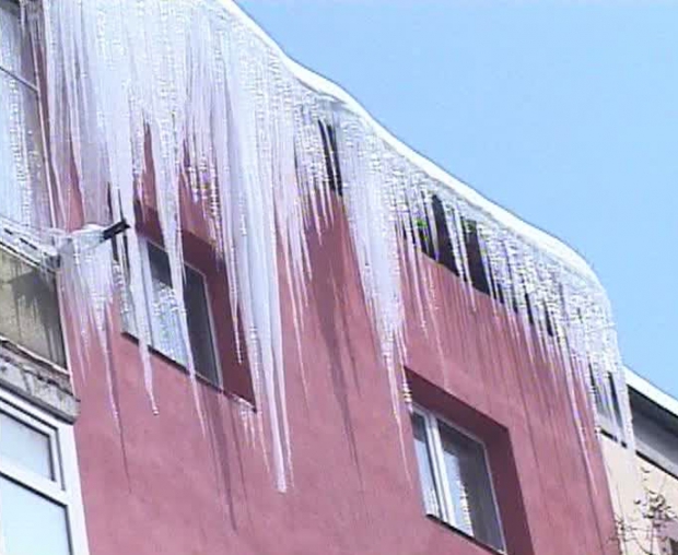 Studenti raniti de turturii de pe cladirea Universitatii Bucuresti