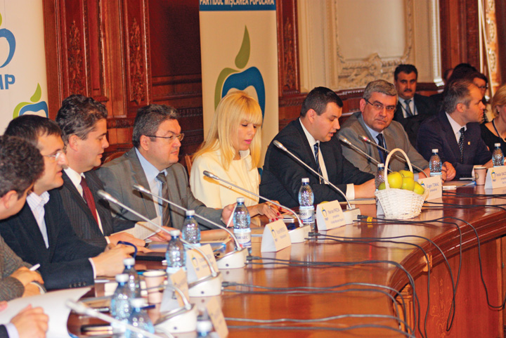 PMP - RICA PETRESCU - Ziarul National