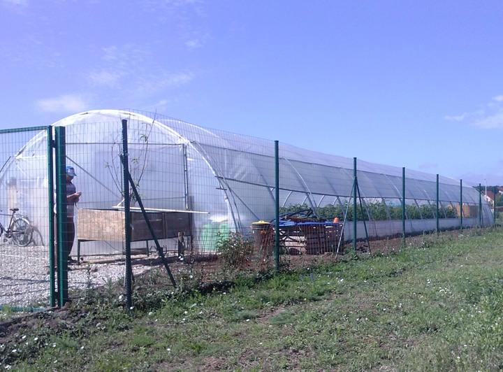Finantari de cate 50.000 de euro pentru fermele familiale