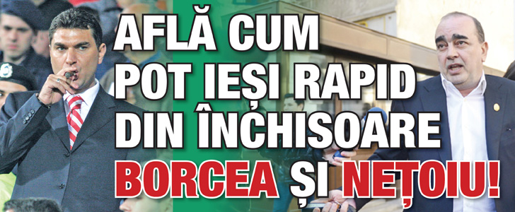 Avocatul lui Borcea si Netoiu e convins: cei doi pot iesi repede din inchisoare!