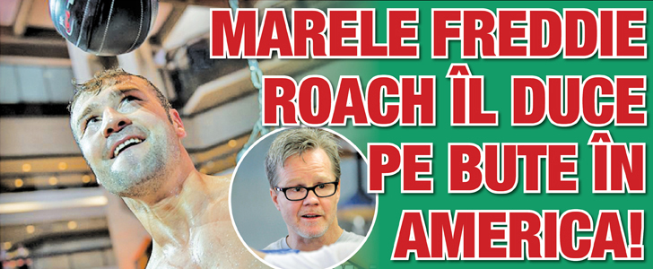 Marele Freddie Roach il duce pe Bute in America!