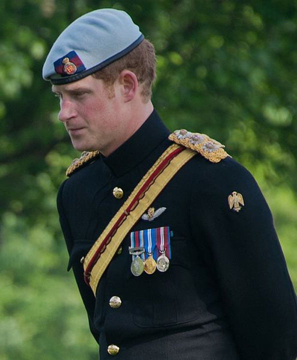 printul harry - Ziarul National