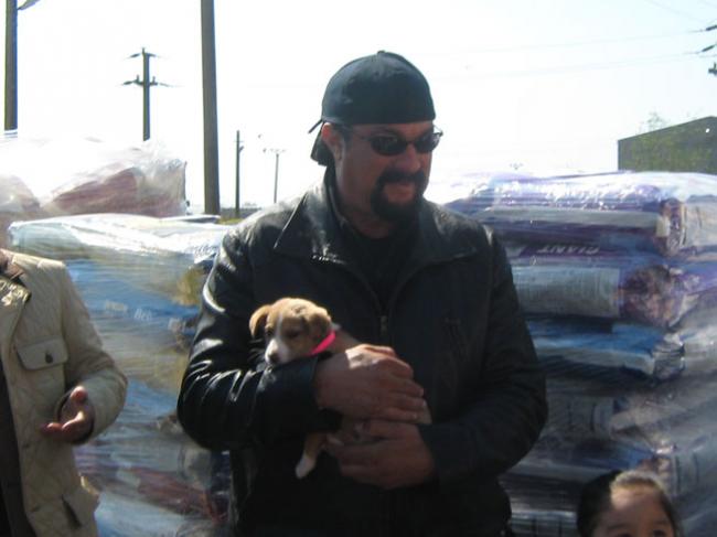 Inca doi caini din adapostul Dogtown, adoptati de Steven Seagal!